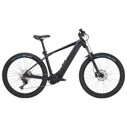 Elektrische mountainbikes