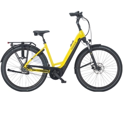 Elektrische fietsen