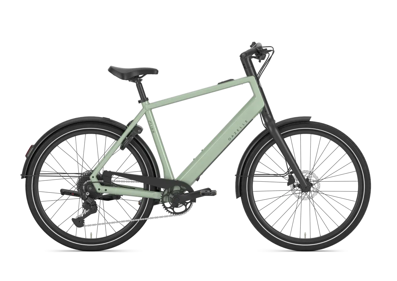 Gazelle Curb T9 2027