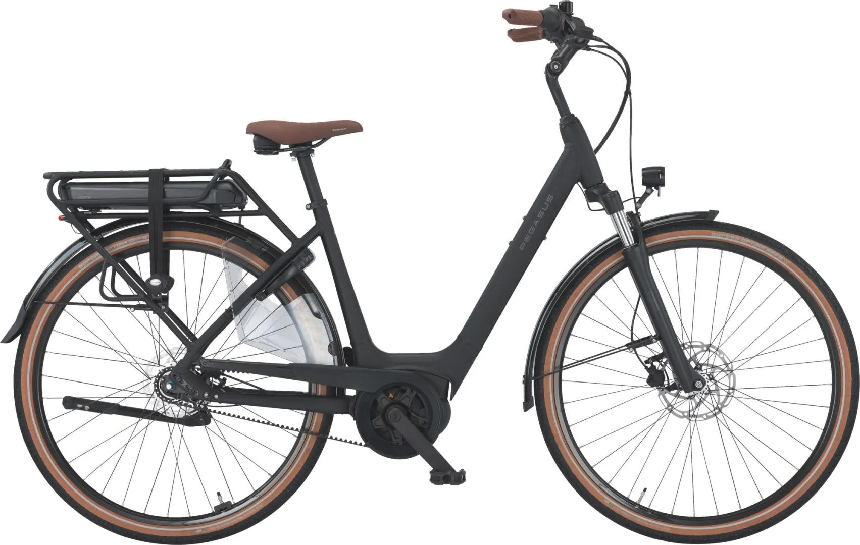 Pegasus Siena E7F Belt 2025