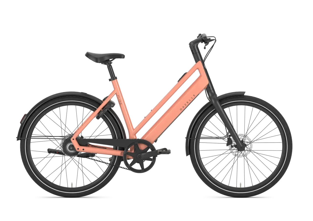 Gazelle Curb C1 2027