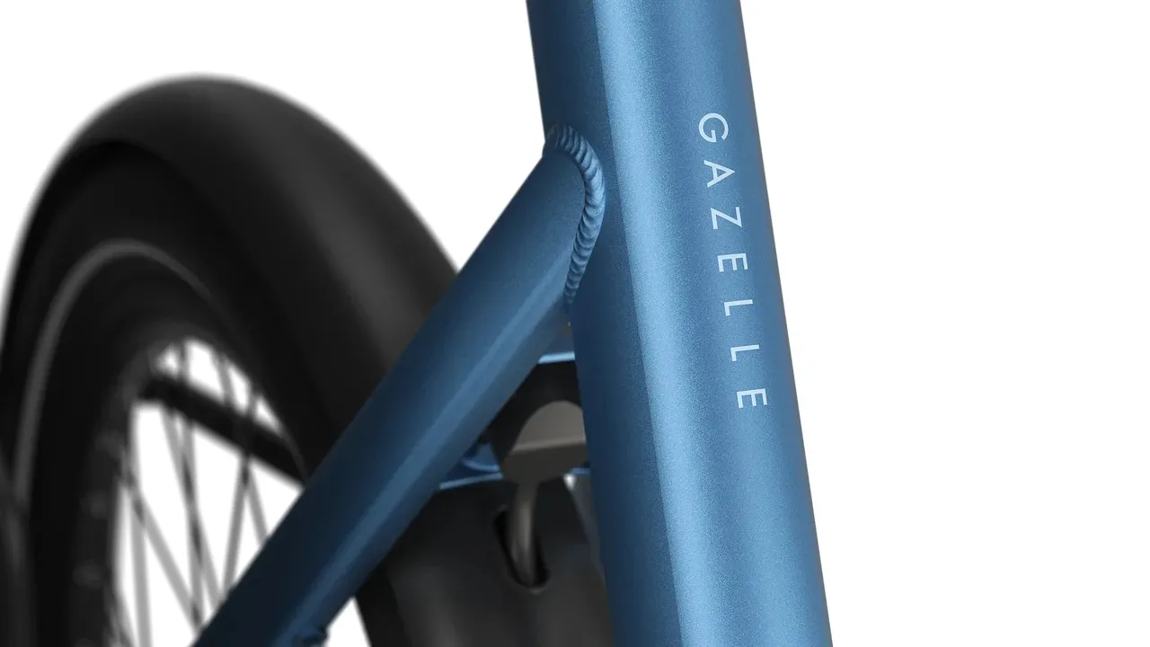 Gazelle Cayo C1 2026