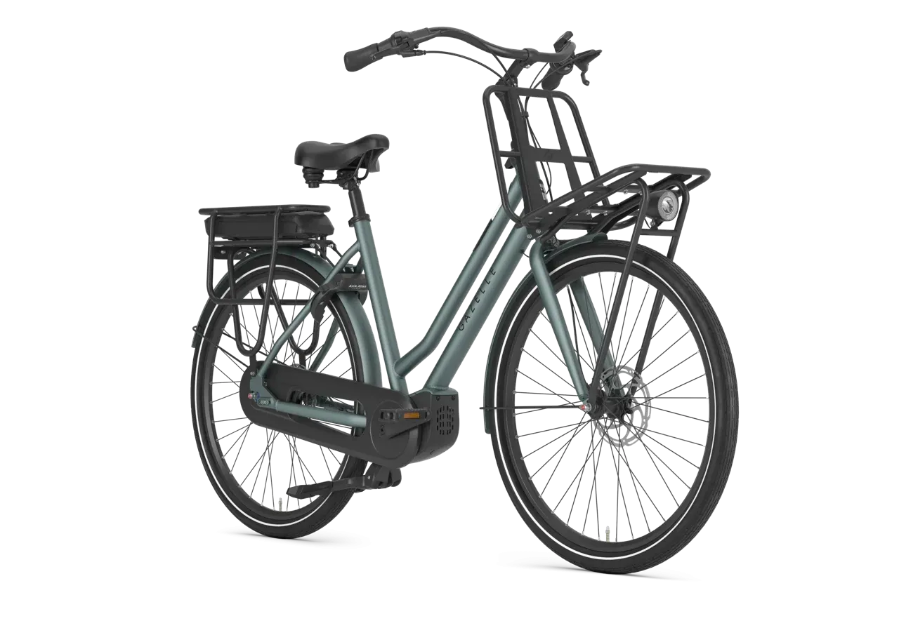 Gazelle HeavyDutyNL C5 2027