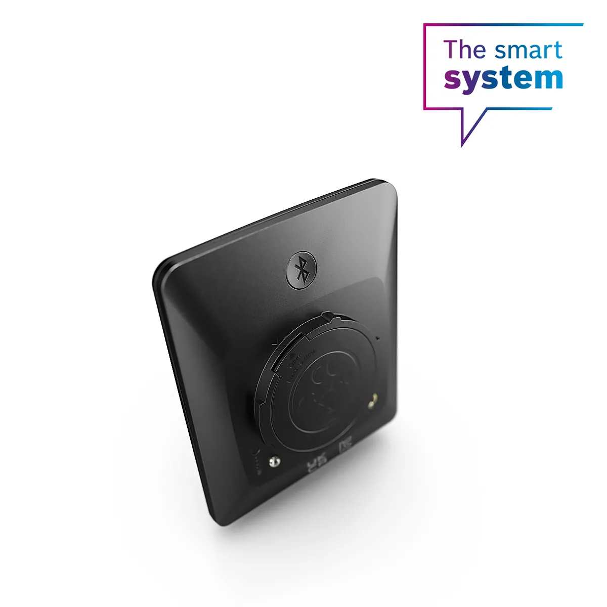 Bosch Display Intuvia 100