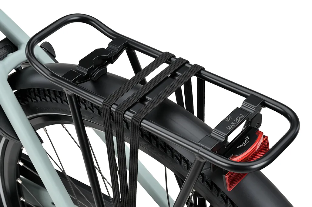 Batavus Altura PT PRO 2026