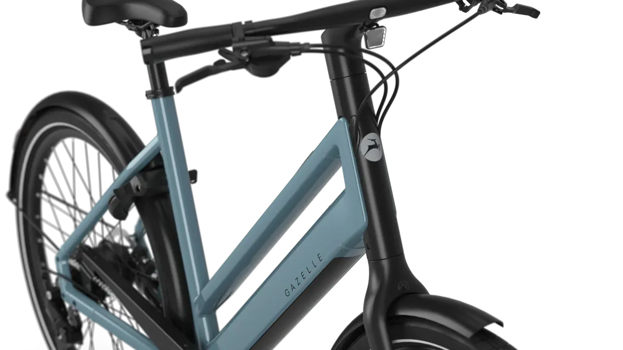 Gazelle Curb T9 2027