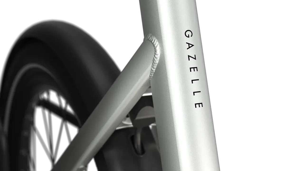 Gazelle Cayo C310 2026