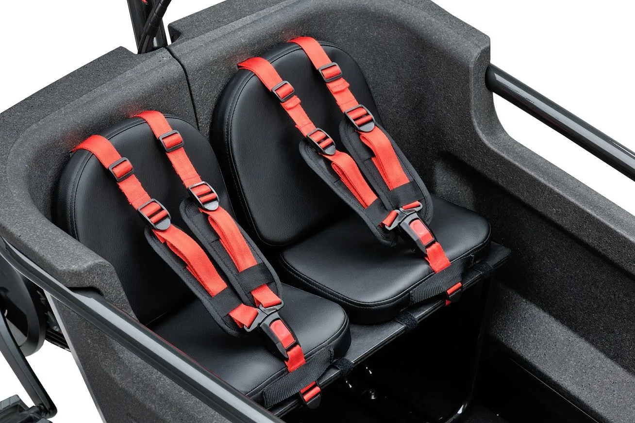 Batavus Fier Bankkussen