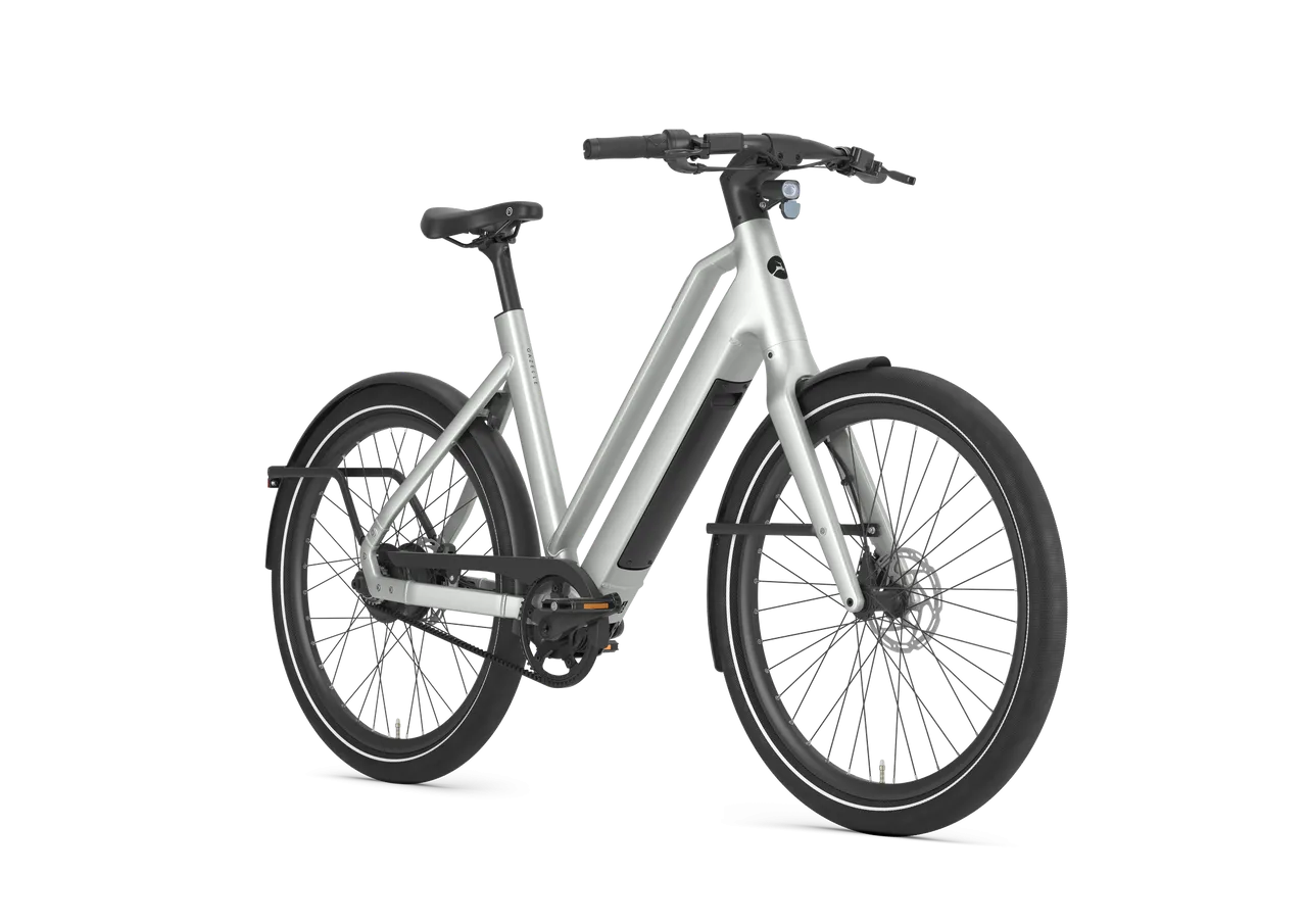 Gazelle Cayo C310 2026