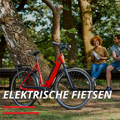 Morsink Tweewielers Elektrische fietsen