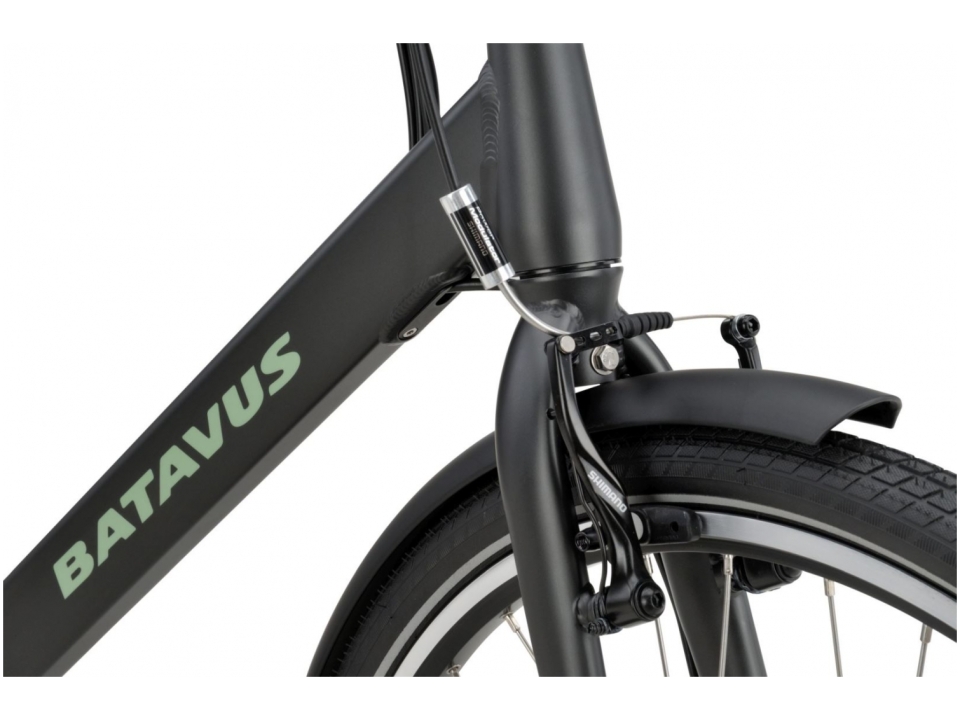 Batavus Fonk E-GO 2022