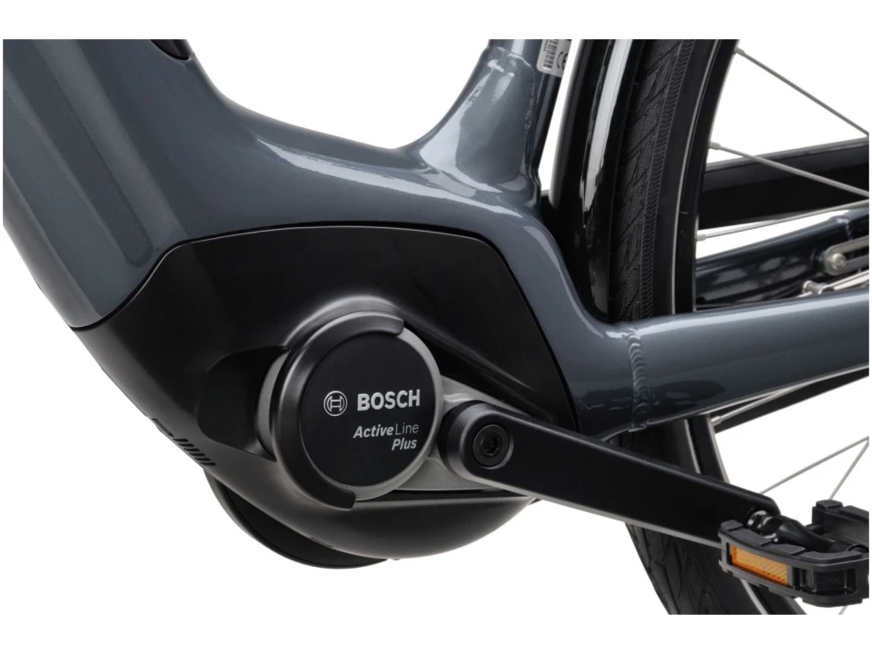 Batavus Velder E-GO Power 2022