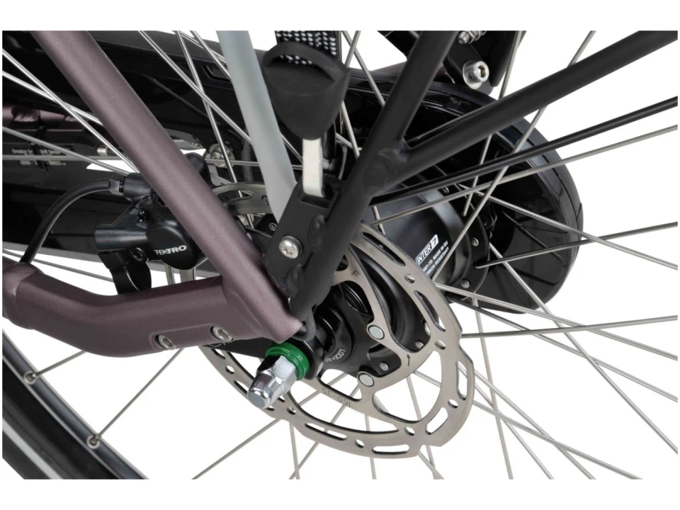 Batavus Finez E-GO 2022