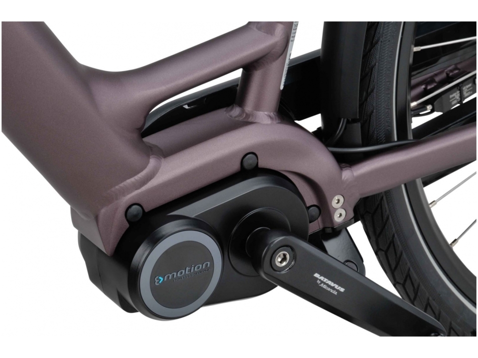Batavus Finez E-GO 2022