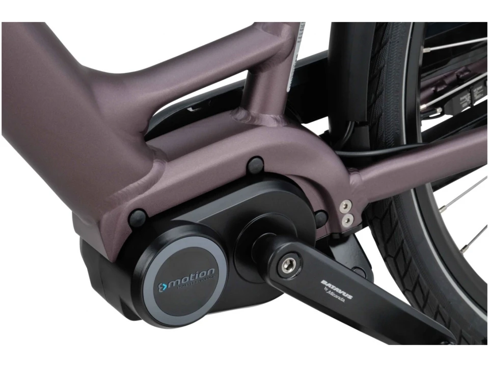 Batavus Finez E-GO 2022