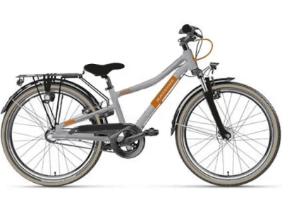 Batavus Booster